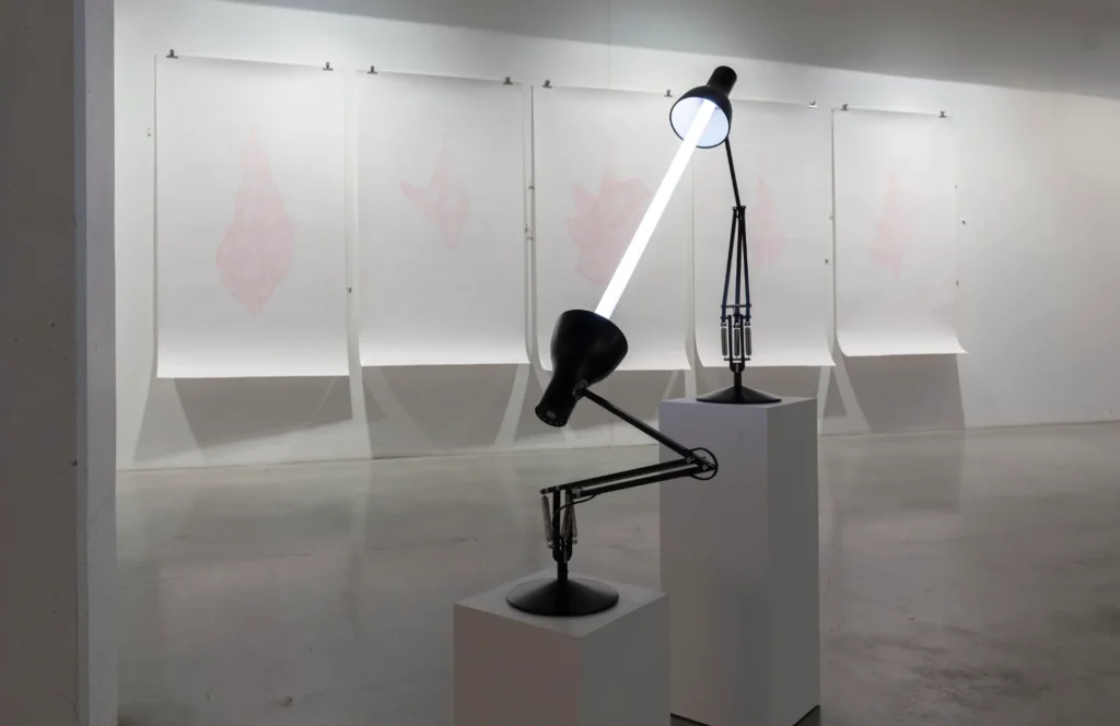 Ausstellungsfoto: „Kommunizierende Röhre“, Lichtkunst von Emanuel Fanslau (Vordergrund). "Fleurs des Larmes 1“ von Nina Radelfahr (Zeichnung auf Papier im Hintergrund).